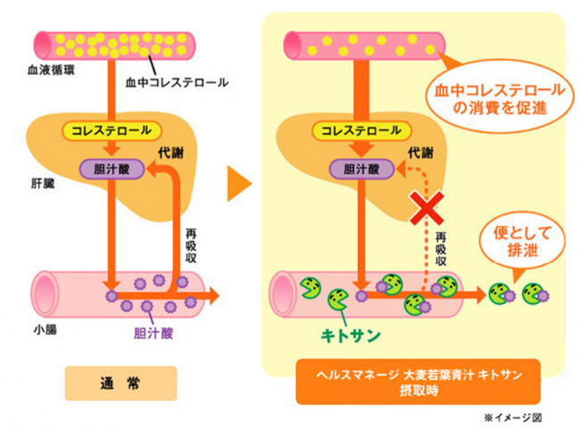 おためし新商品ナビ Blog Archive 悪玉 Ldl コレステロールが気になりだしたら 大正製薬のトクホの青汁 ヘルスマネージ 大麦若葉青汁 キトサン で 野菜不足もまとめて対策